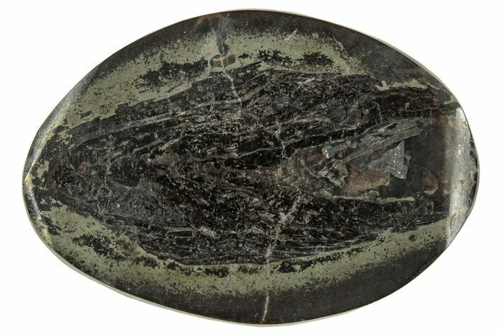 Polished Fish Coprolite (Fossil Poo) Nodule Half - Scotland #314927
